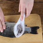 Fish Scaler & Skin Scraper Tool