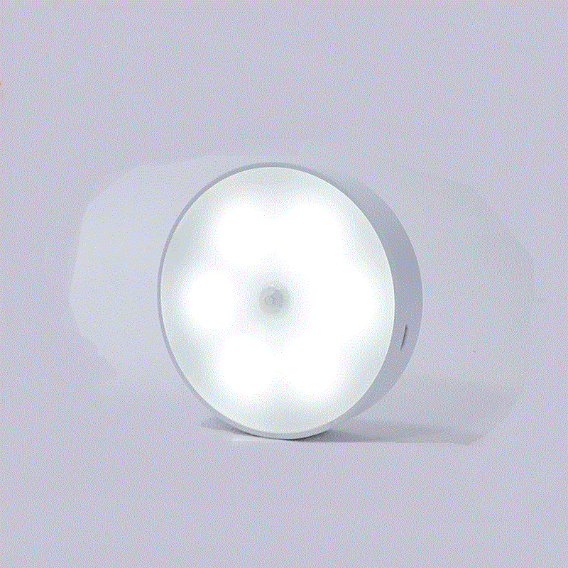 Rechargeable Wireless LED Motion Night Light