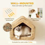 Cat Wall Mounted Shelf & Bed