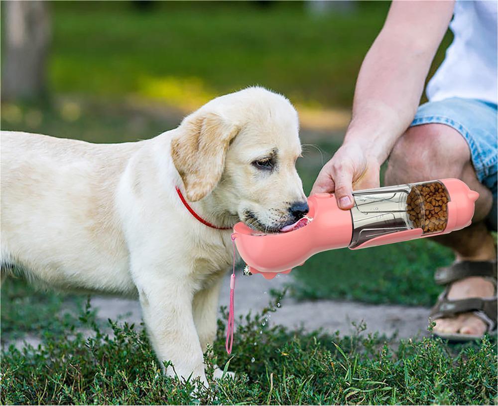 Portable Pet Travel Water Bottle & Bowl