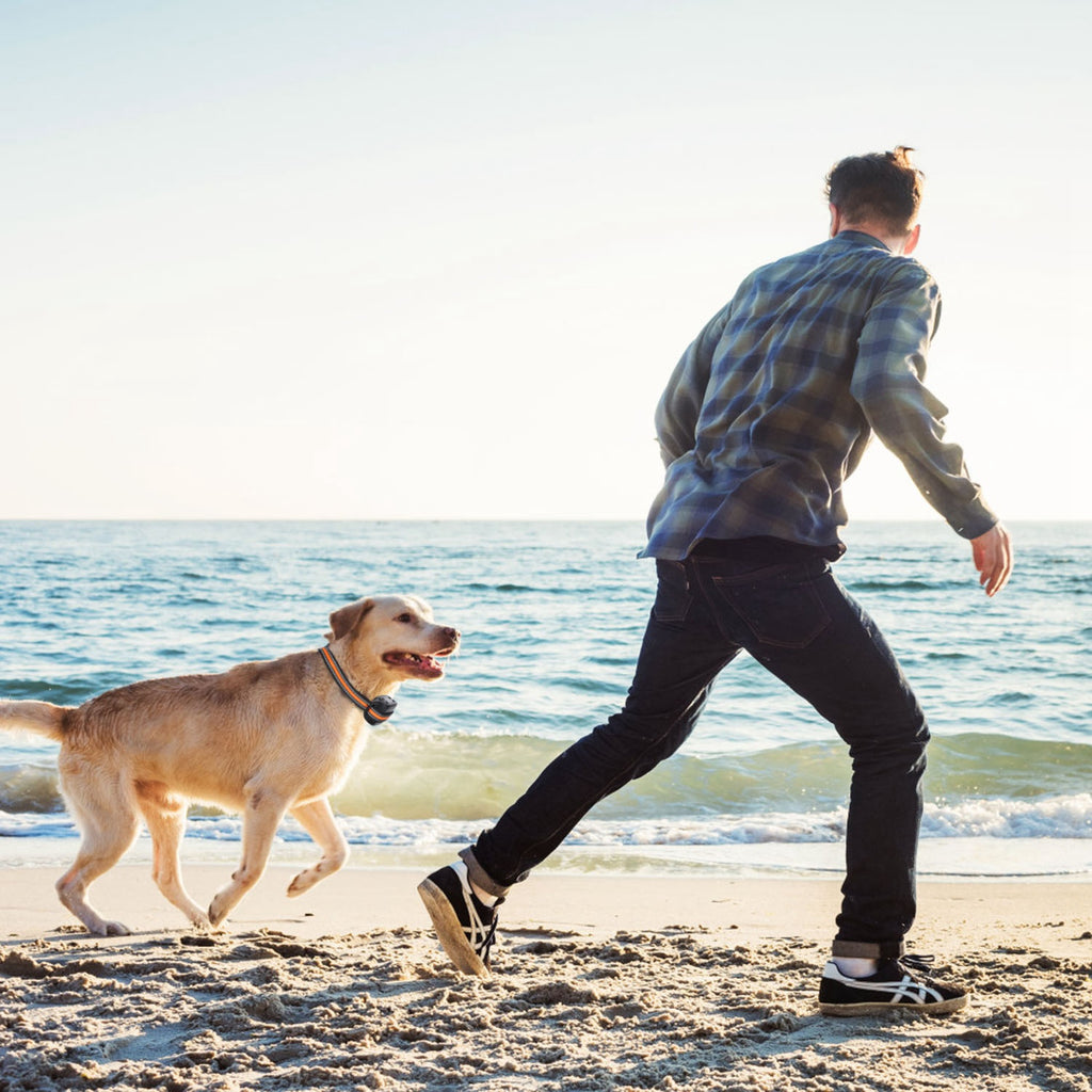 Wireless GPS Dog Fence & Tracker Collar