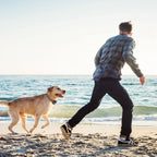 Wireless GPS Dog Fence & Tracker Collar