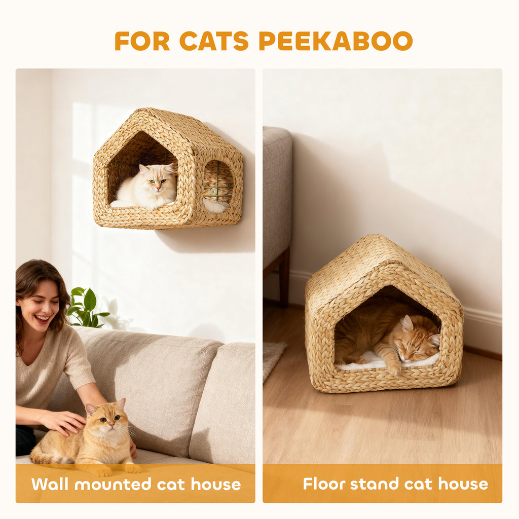 Cat Wall Mounted Shelf & Bed