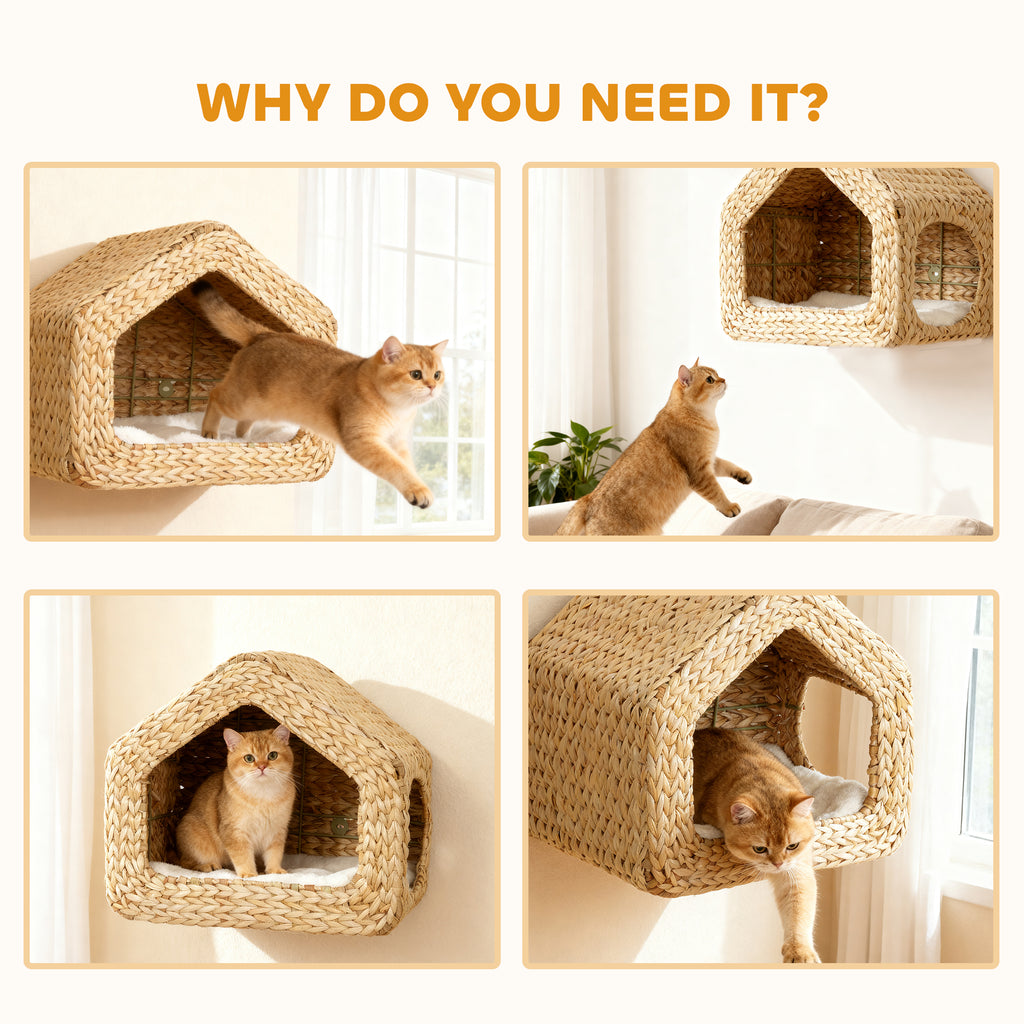 Cat Wall Mounted Shelf & Bed