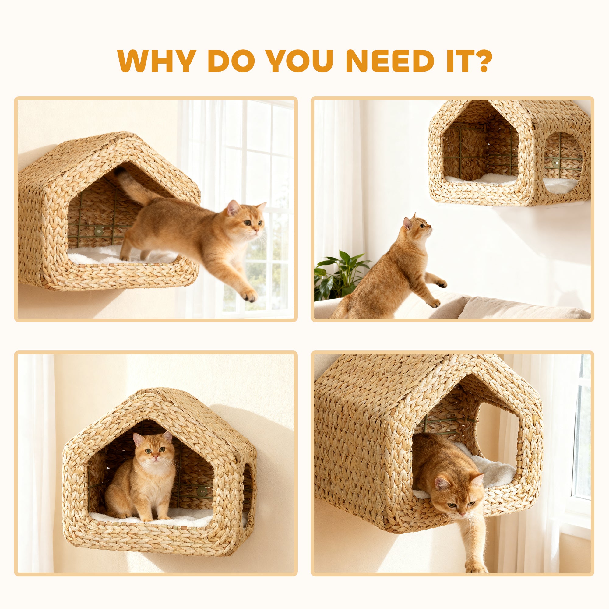 Cat Wall Mounted Shelf & Bed
