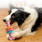 Durable TPR Dog Bone Chew Toy for Teeth Cleaning & Teething