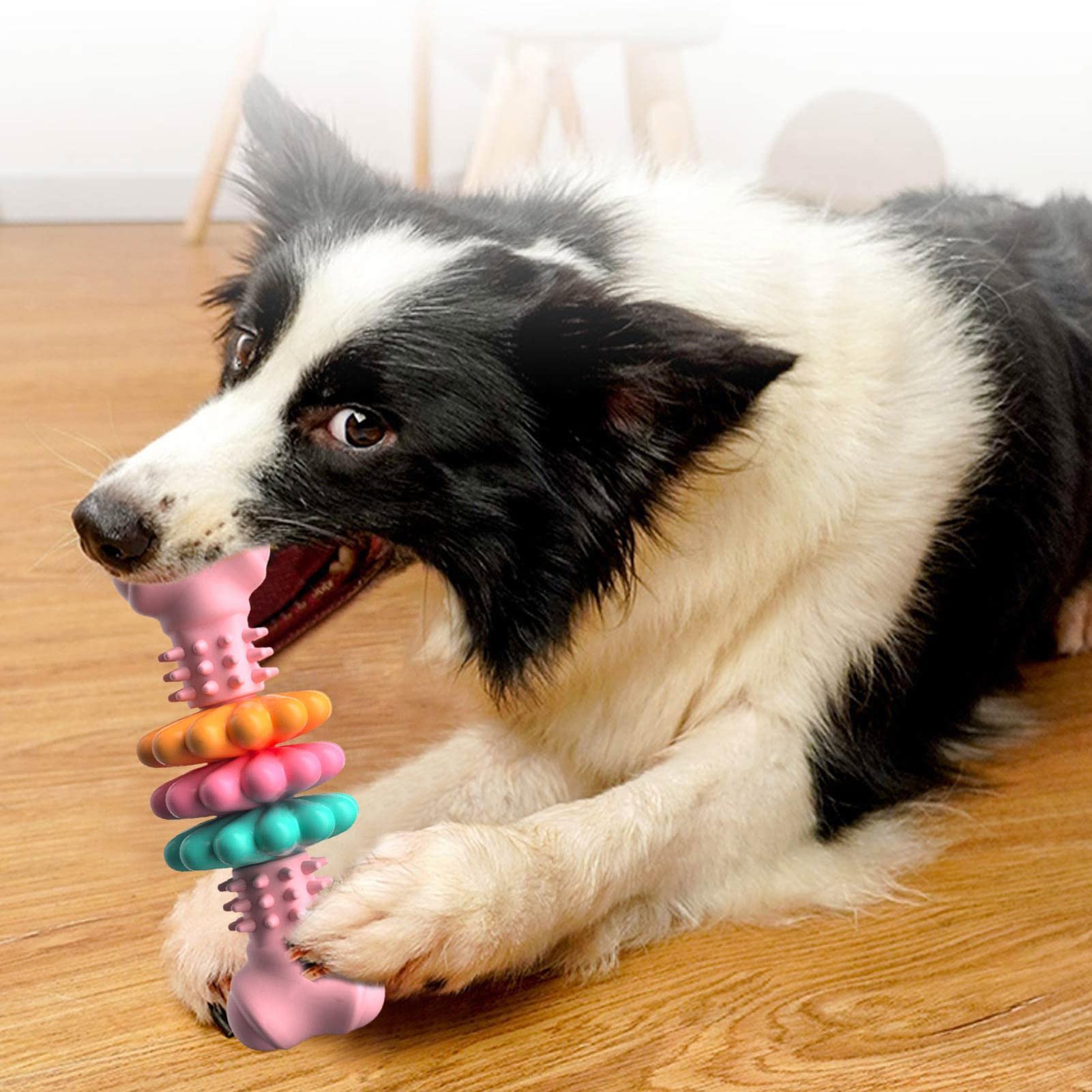 Durable TPR Dog Bone Chew Toy for Teeth Cleaning & Teething