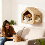 Cat Wall Mounted Shelf & Bed